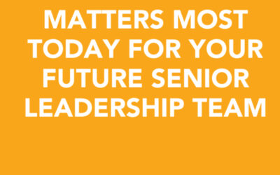 Here’s what matters most today for your future senior leadership team | Karen Matsueda | Ctrl+Alt+Del w/ Lisa Duerre – Igniting Leaders in Tech